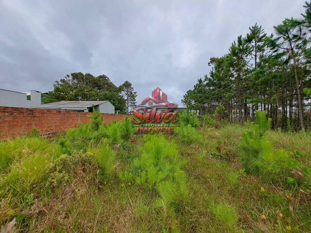 Terreno para Venda em Imbé - 3