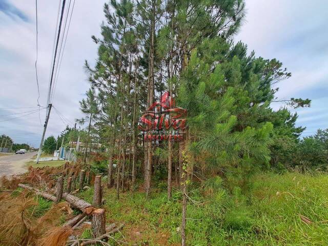 Terreno para Venda em Imbé - 2