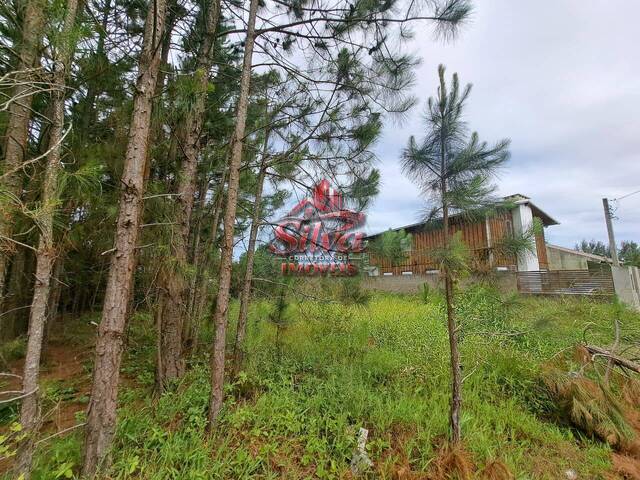 Terreno para Venda em Imbé - 4