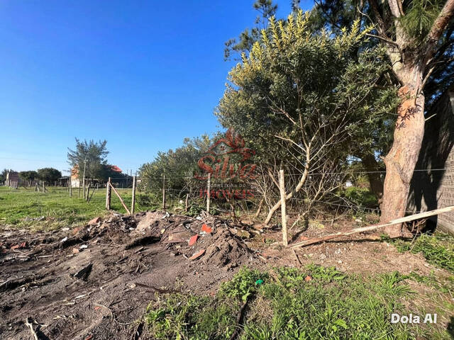 Terreno para Venda em Imbé - 5