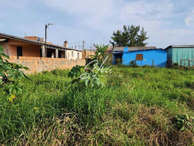 Terreno para Venda em Imbé - 4