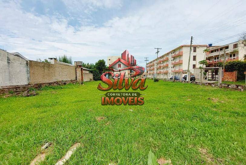 Terreno - Foto 4