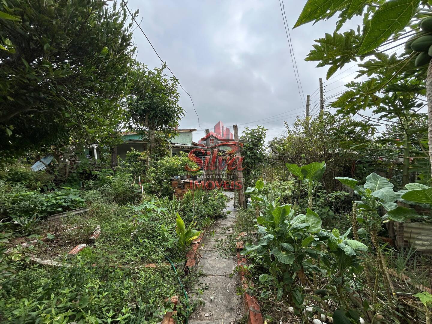 Casa - Foto 5