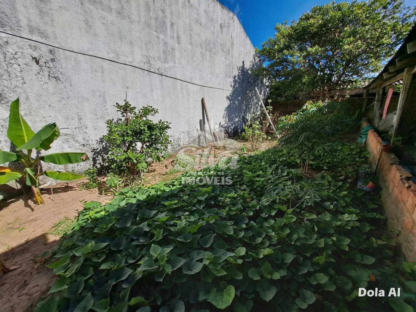 Casa, 4 quartos - Foto 4
