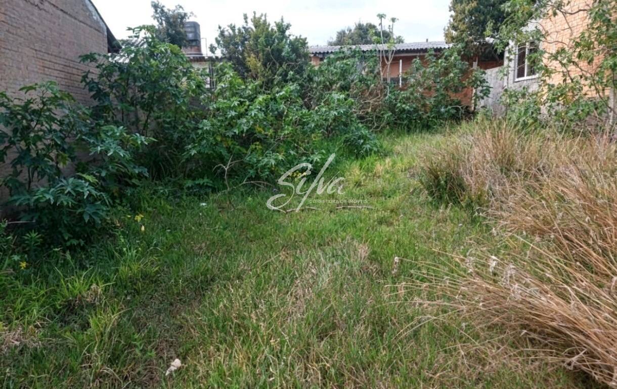 Terreno - Foto 1