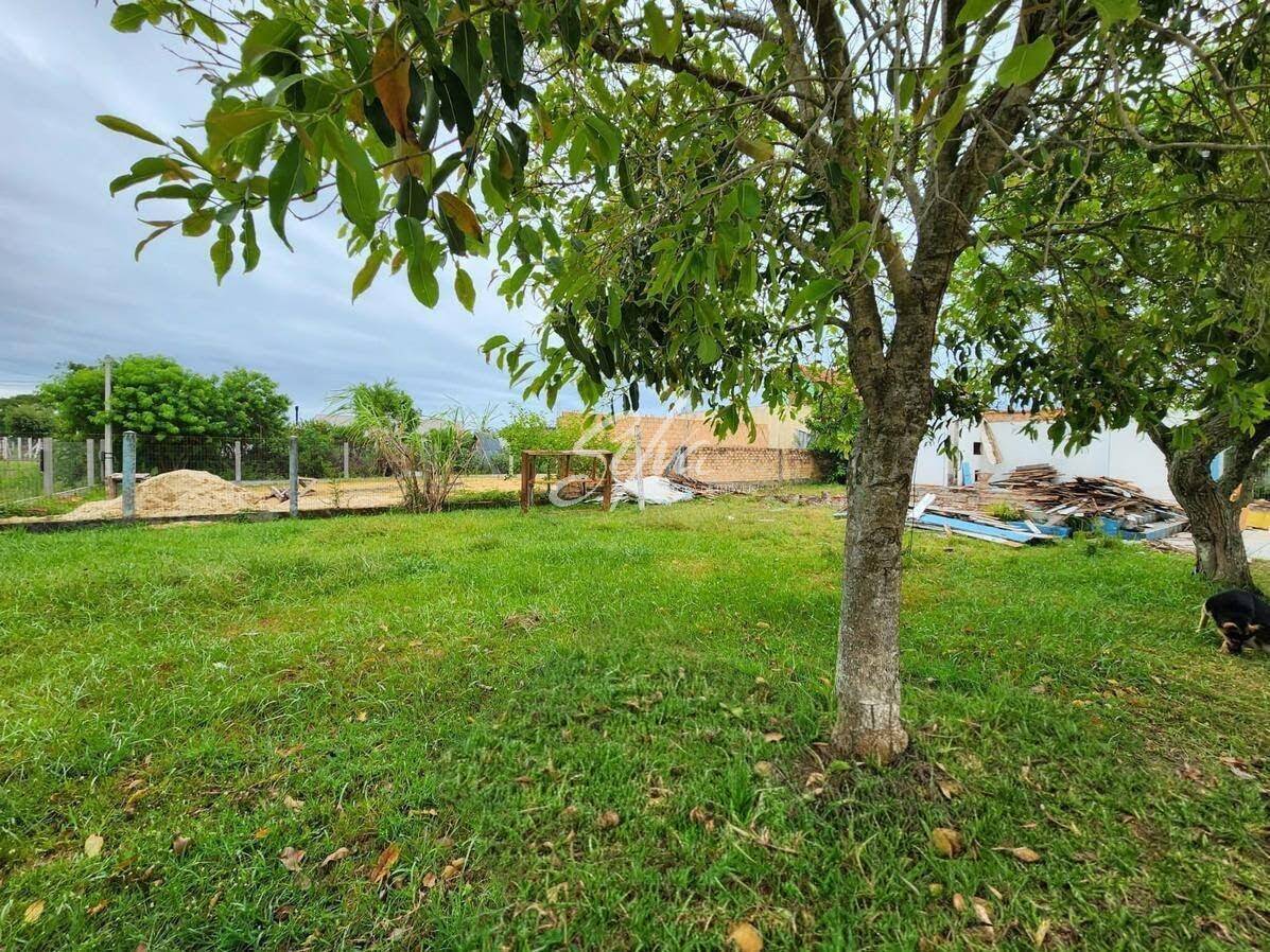 Terreno - Foto 3